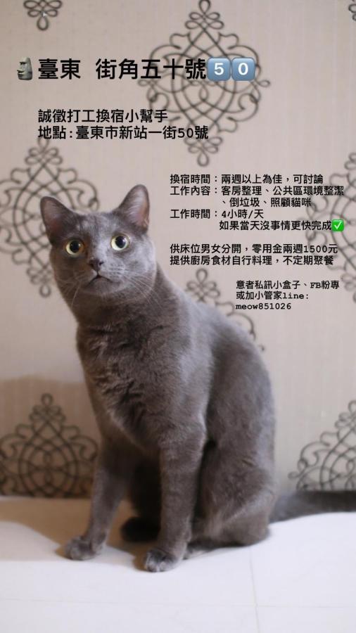 Taitung Sevilla Hostel מראה חיצוני תמונה